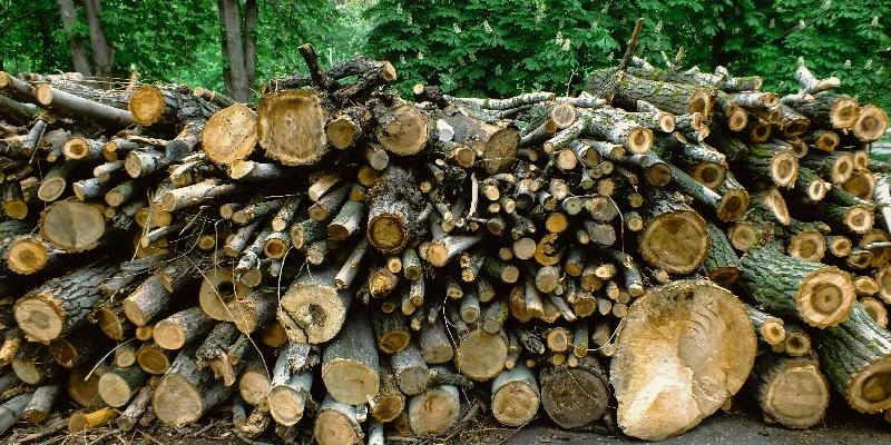 Après le BTS Traitement des Matériaux : Les Voies d’Avenir