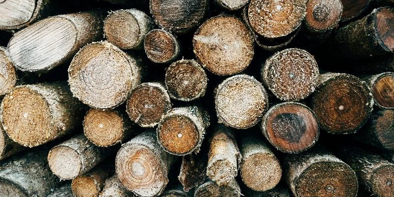 Cours et Matières du BTS Traitement des Matériaux